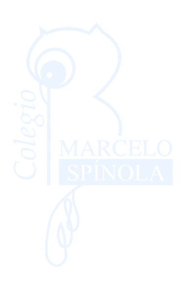 Logo Marcelo Spínola